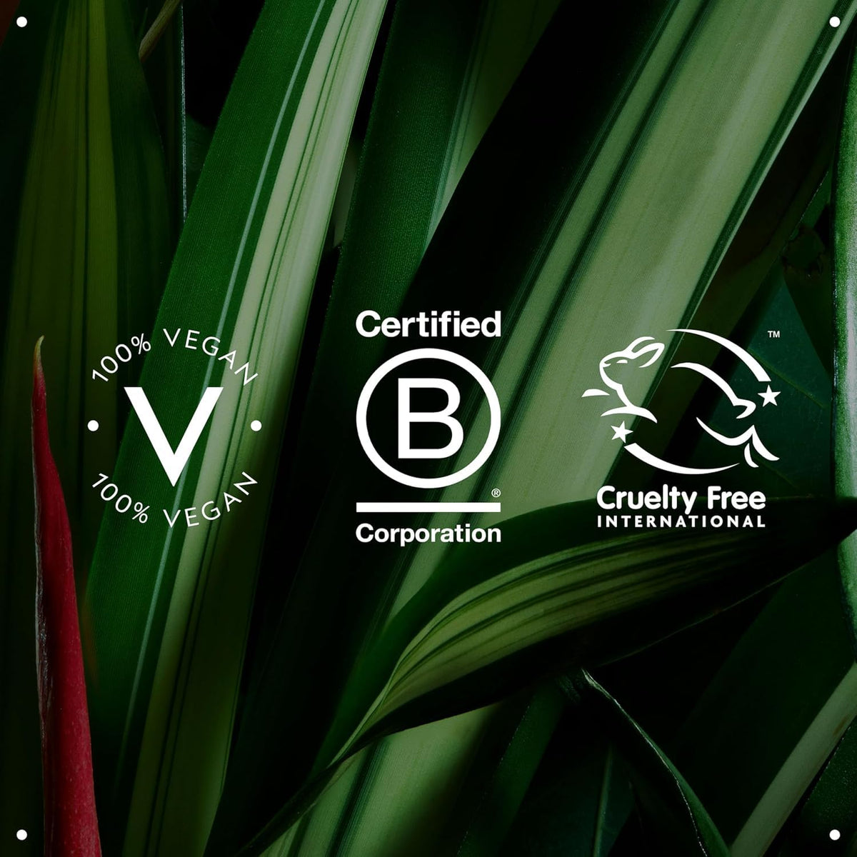 AVEDA-BOTANICAL REPAIR INTENSIVE STRENGTHENING MASQUE LIGHT (150ML/5OZ)