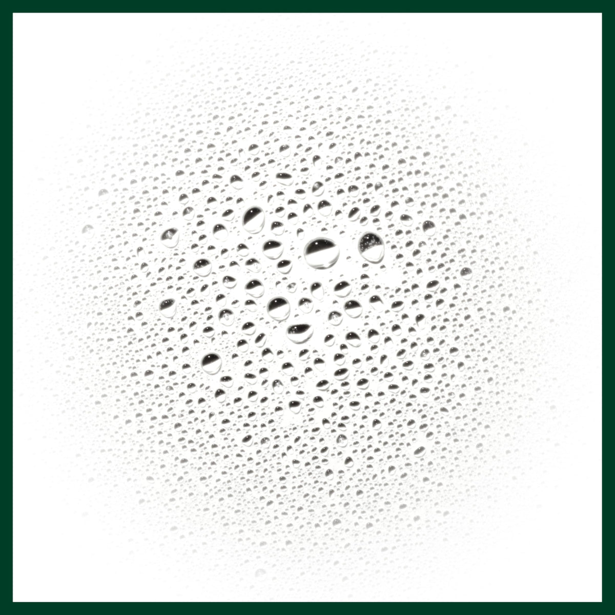 AVEDA-SCALP SOLUTIONS REFRESHING PROTECTIVE MIST (100ML/3.4OZ)