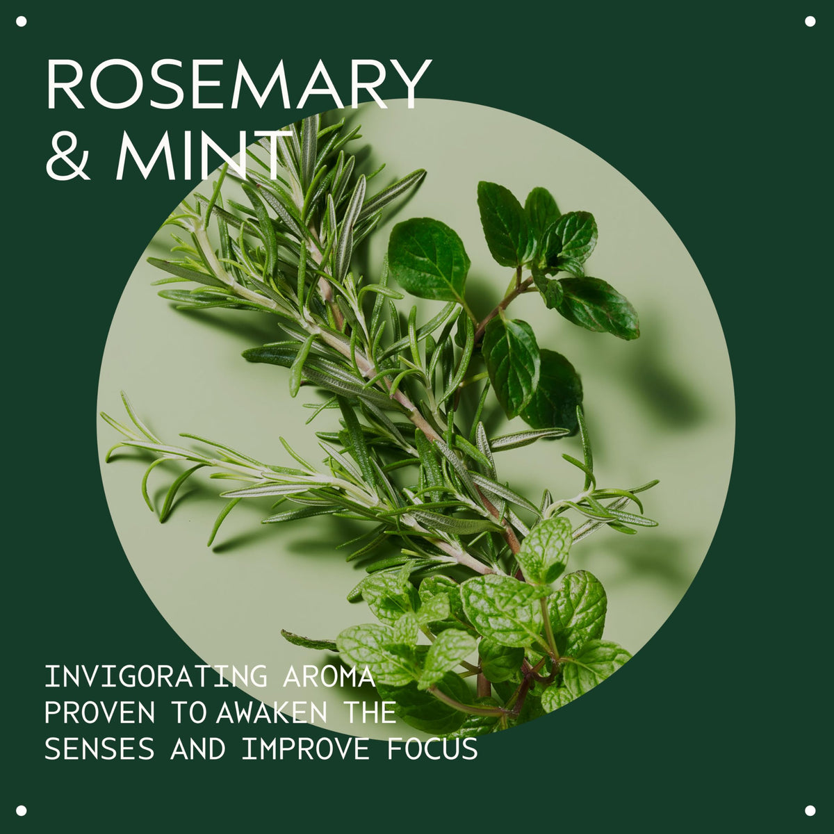 AVEDA-ROSEMARY MINT WEIGHTLESS CONDITIONER (50ML/1.7OZ)