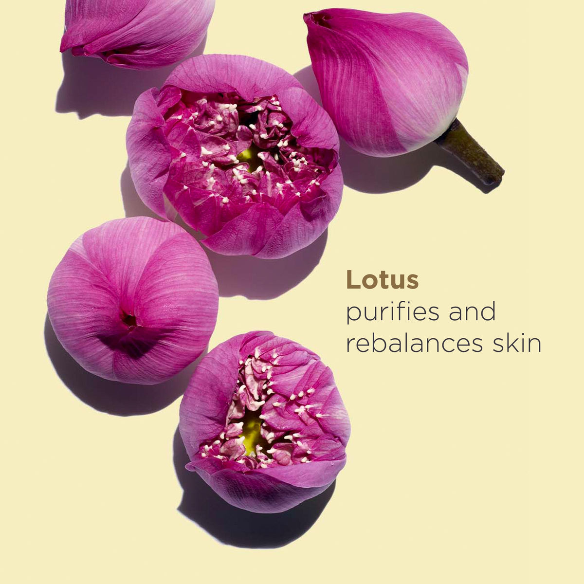 Clarins Lotus Treatment Oil 30ml/1oz