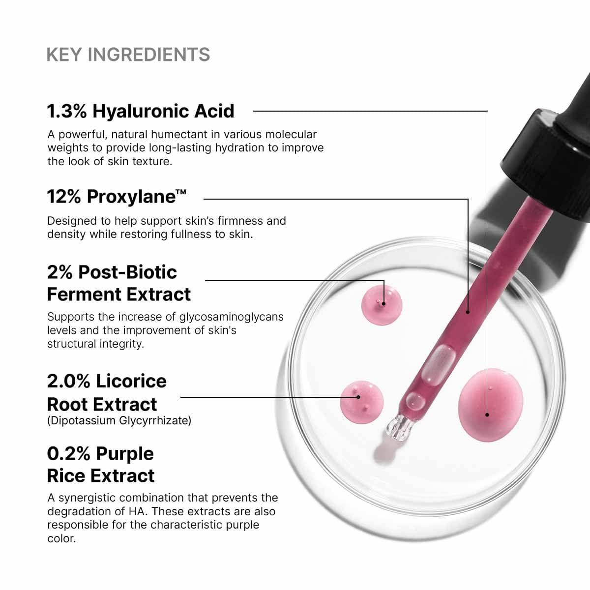 SKIN CEUTICALS-HA INTENSIFIER MULTI-GLYCAN SERUM (30ML/1OZ)