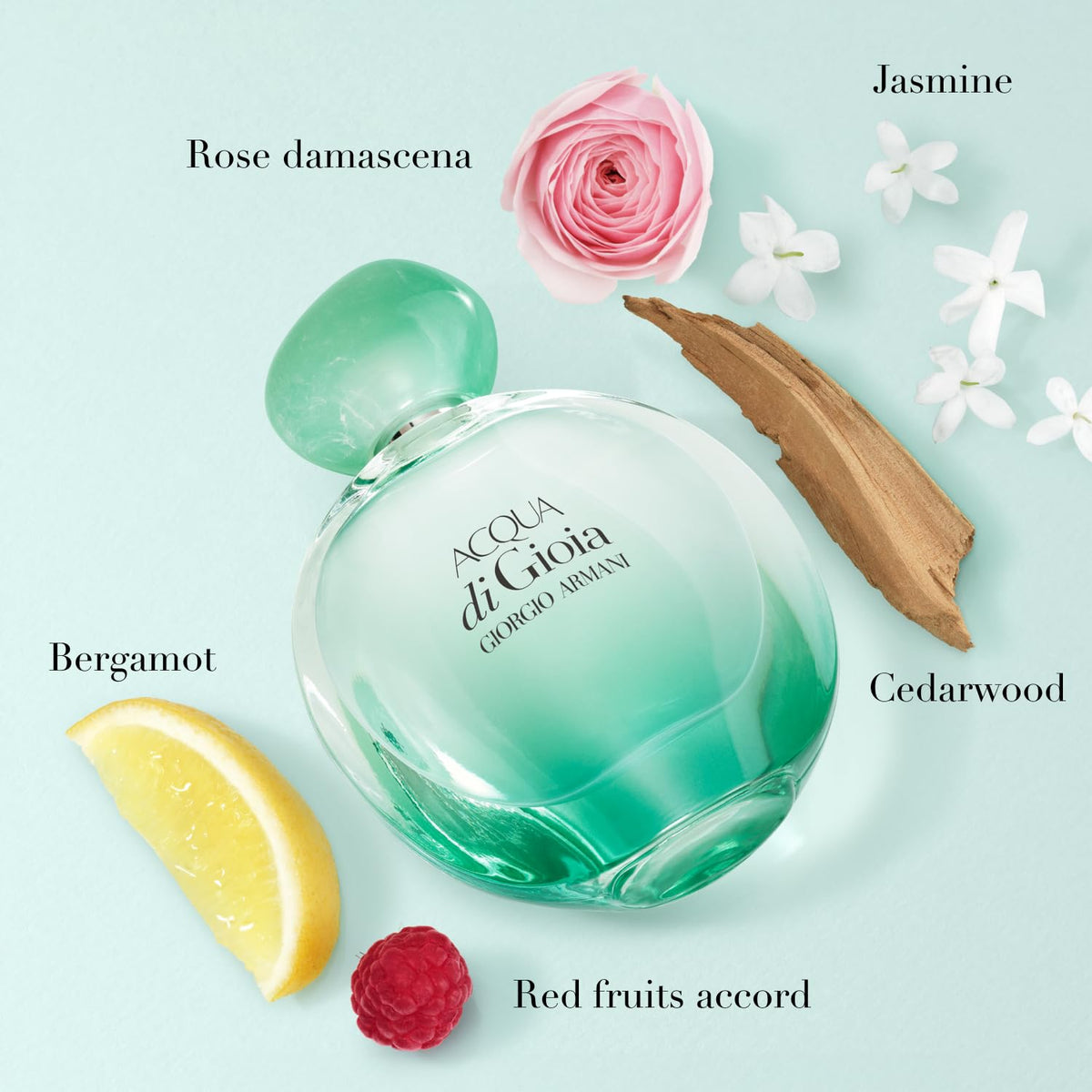 GIORGIO ARMANI-ACQUA DI GIOIA INTENSE WOMEN EDP (100ML/3.3OZ)