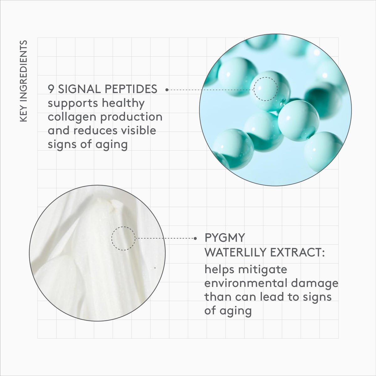 DRUNK ELEPHANT-PROTINI POLYPEPTIDE CREAM (50ML/1.7OZ)