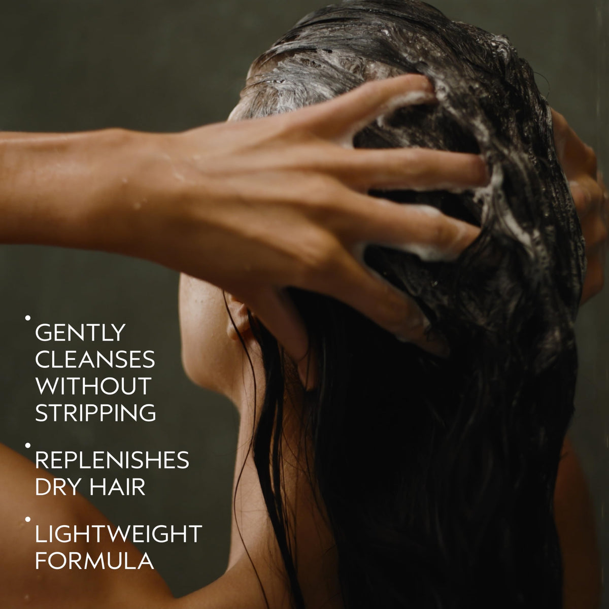 AVEDA-NUTRIPLENISH LIGHT MOISTURE SHAMPOO (250ML/8.5OZ)