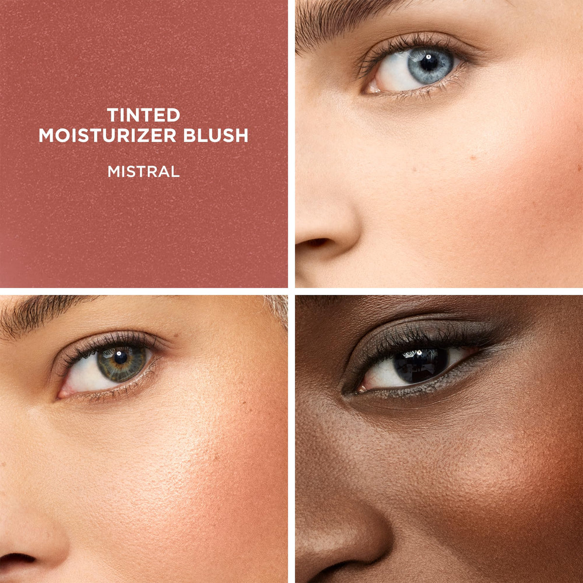 Laura Mercier Tinted Moisturizer Blush Mistral 15ml/0.5oz