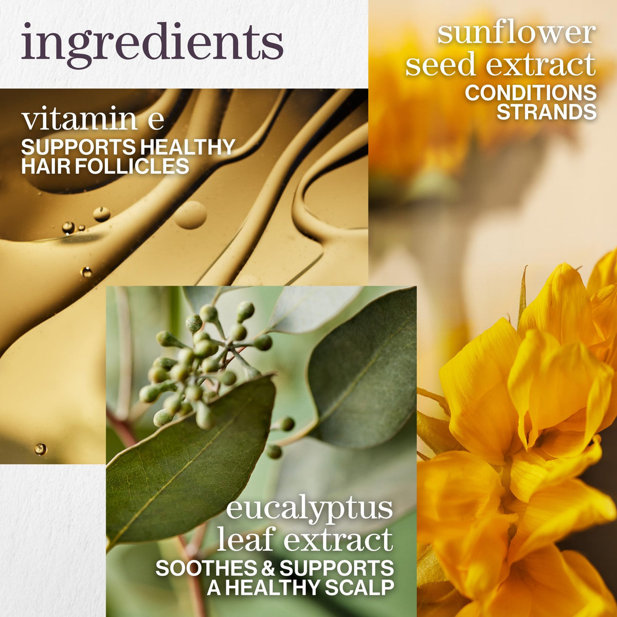 PUREOLOGY-PURE VOLUME SHAMPOO (266ML/9OZ)