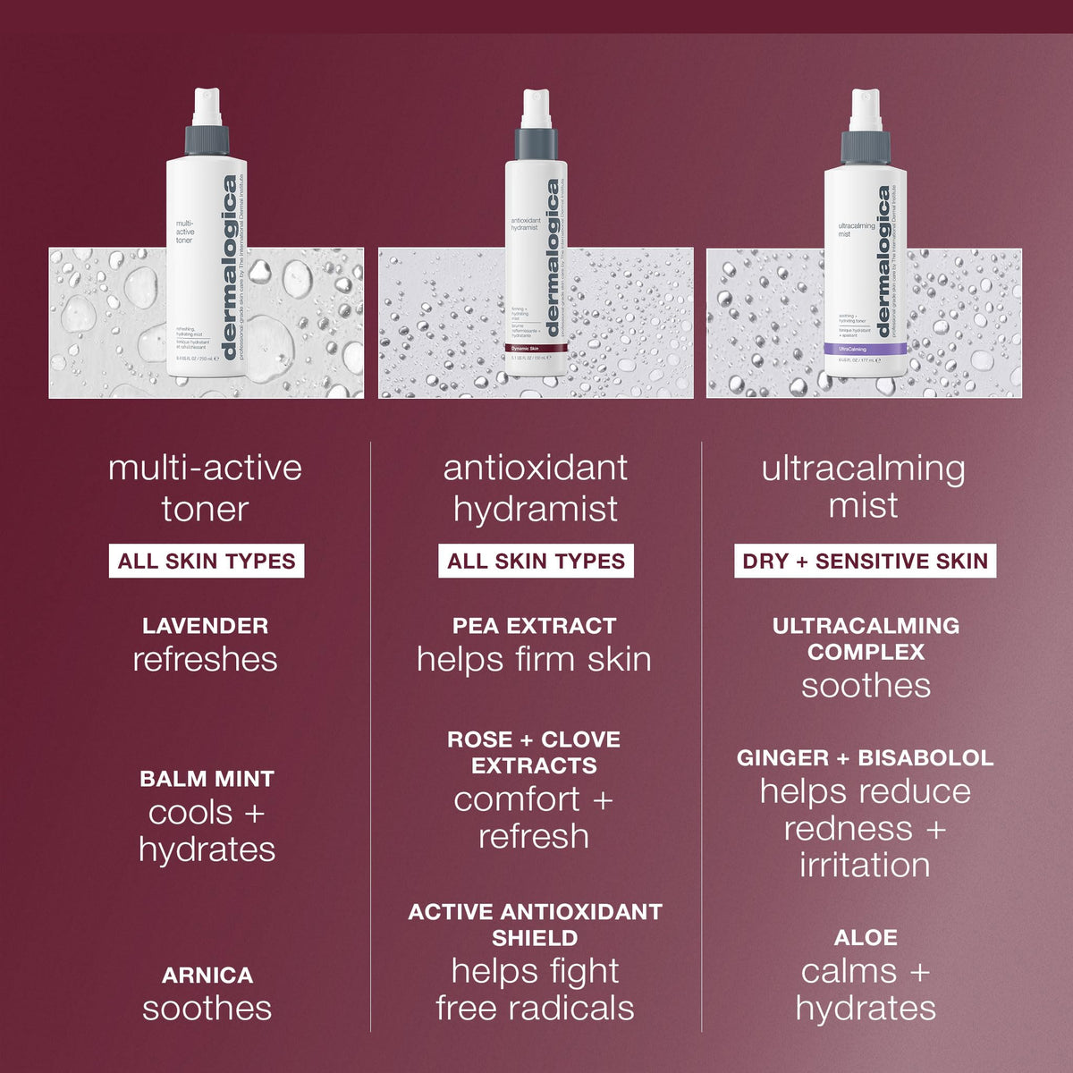 Dermalogica Antioxidant Hydramist 1oz/30ml
