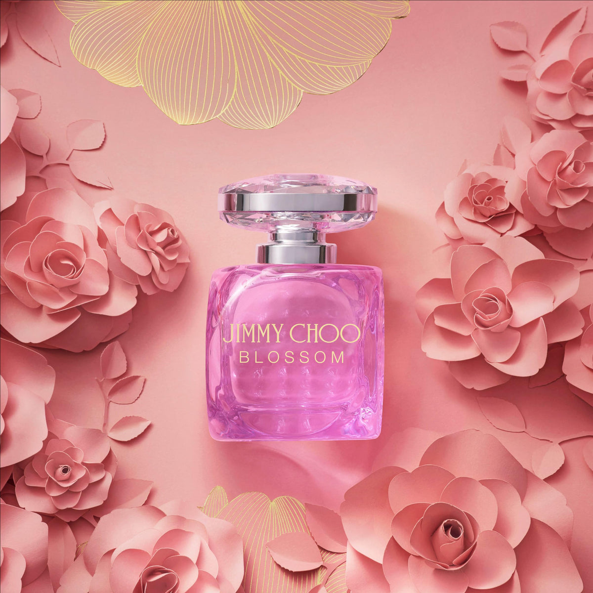 Jimmy Choo Ladies Blossom EDP Spray Special Edition 2.0 oz