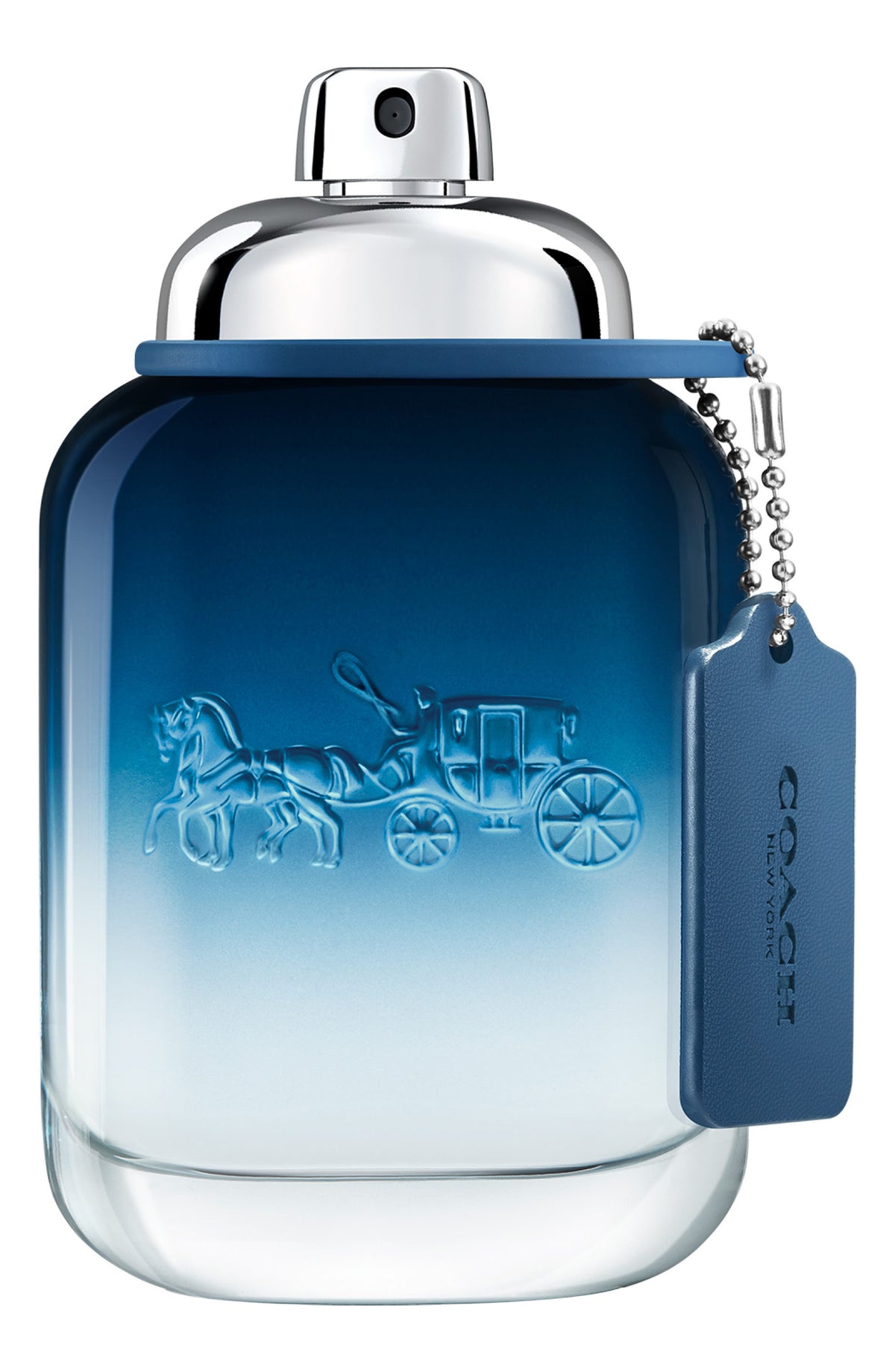 Coach Blue Eau de Toilette Spray 3.3 fl oz (Men)