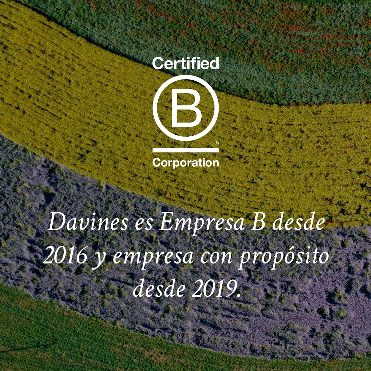 Davines Alchemic Copper Shampoo (Rame) 280ml