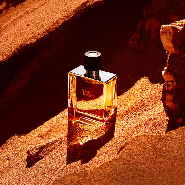 Hermès Terre d’Hermès Eau de Toilette (50 ml / 1.7 oz)